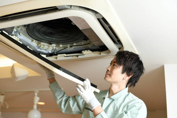 Best Air Vent Cleaning Services  in Lexington, TX